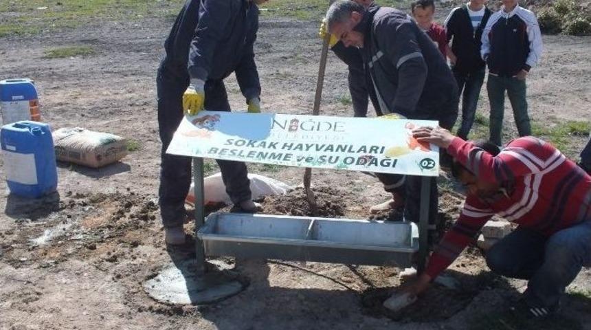 Niğde Belediyesinden Hayvanlar İ&ccedil;in Beslenme Odağı