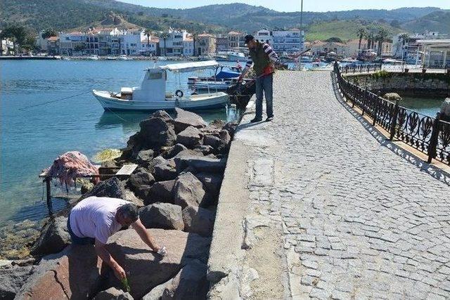 Foça Sahillerine Haftanın Yedi Günü Temizlik