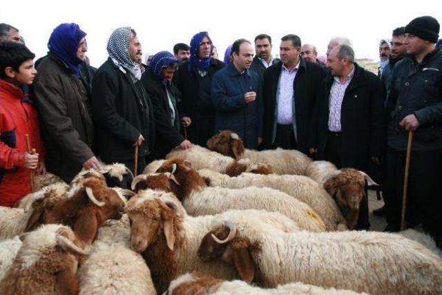 Hdp'li Baydemir: Öcalan Bir Gün Buraya Gelecek