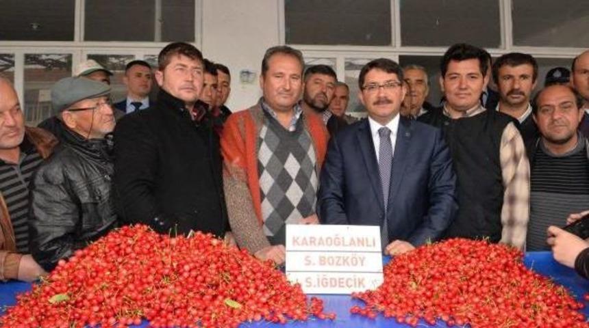 Manisa'da Sezonun Ilk Kirazı 150 Liradan Alıcı Buldu