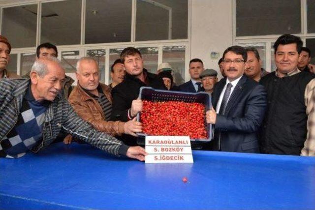 Manisa'da Sezonun Ilk Kirazı 150 Liradan Alıcı Buldu