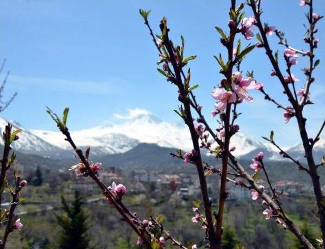 Erciyes Ve Bahar