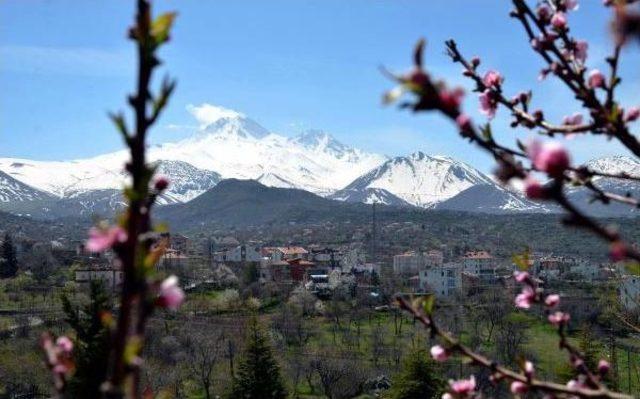 Erciyes Ve Bahar