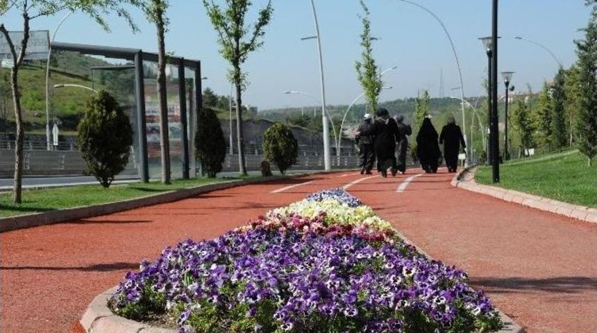 Pursaklar &Ccedil;i&ccedil;ek A&ccedil;tı