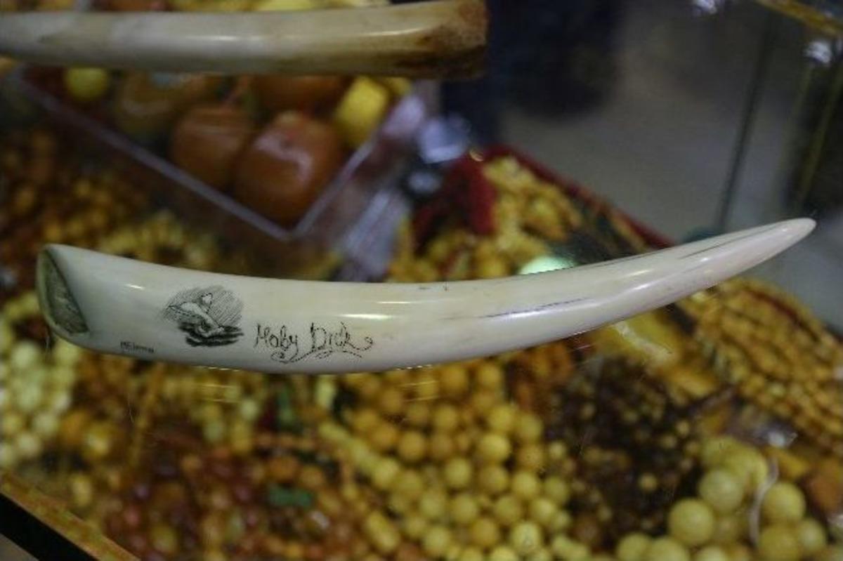 Nesli T&uuml;kenmekte Olan Hayvan Par&ccedil;alarından Yapılmış S&uuml;s Eşyası Satan Ş&uuml;pheli Yakalandı