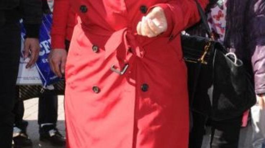 Sibel Can, Sesi G&uuml;zelleri B&ouml;yle Aradı