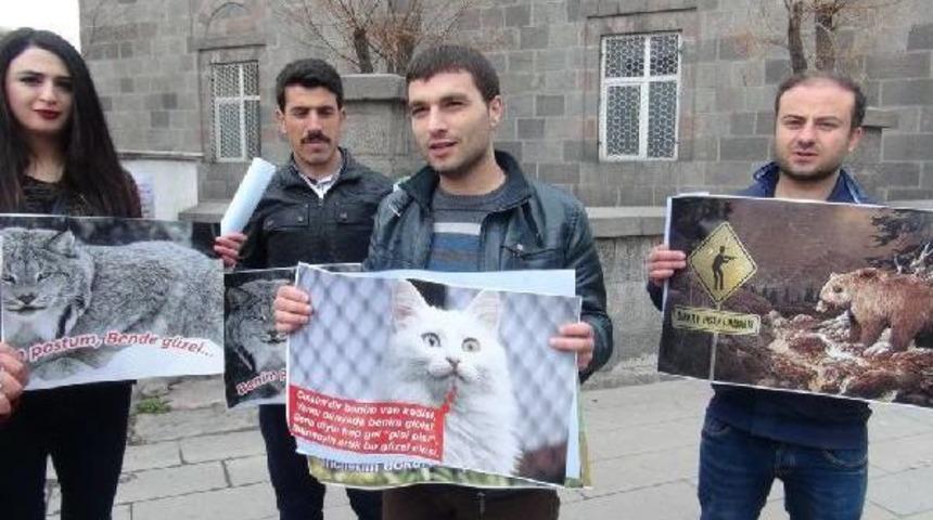 Nesli T&uuml;kenen Yaban Hayvanları I&ccedil;in Seferber Oldular