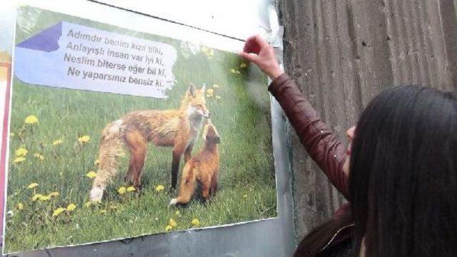 Nesli Tükenen Yaban Hayvanları Için Seferber Oldular