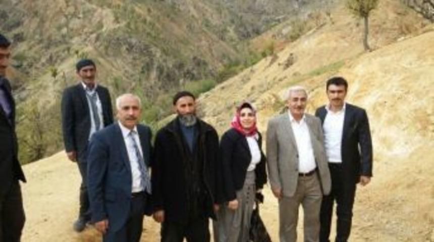 Aslan, Se&ccedil;im Startını Verdi