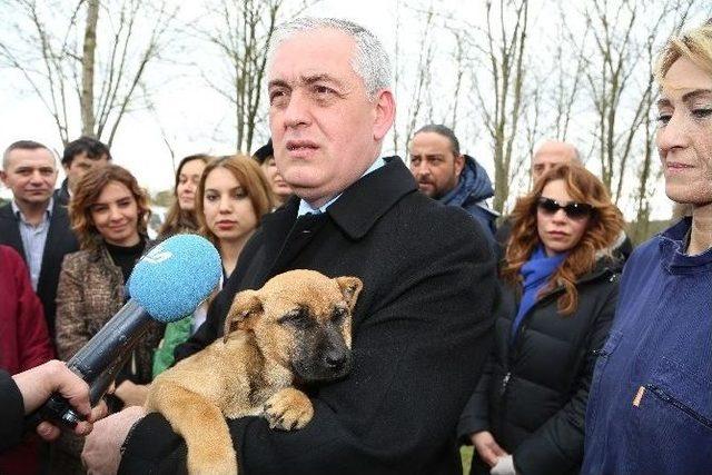 Eyüp Belediyesi’nden Sahipsiz Hayvanlara Yardım Eli 1