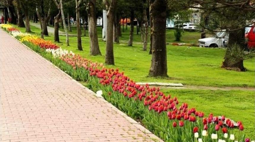 Kocasinan Renkleniyor