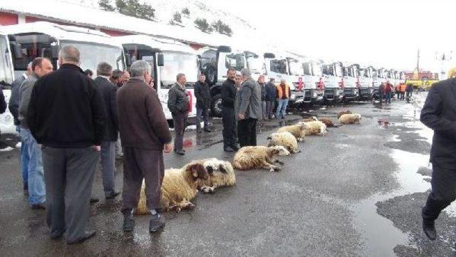 Efkan Ala: Tarihimize Yapılan Bir Iftiranın Temizlenmesiyle Uğraşıyoruz