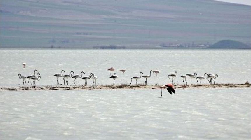 Seyfe&rsquo;de Renkli G&ouml;r&uuml;nt&uuml;ler