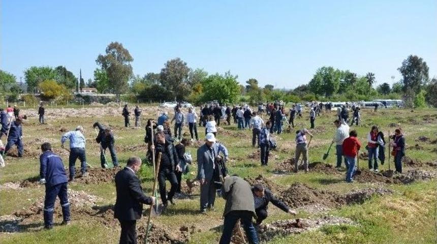 Dsi, Fidanları Toprakla Buluşturdu