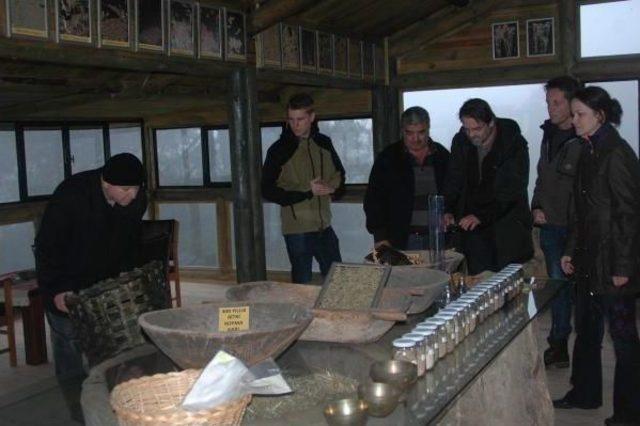 Kazdağları'nın 'bitki Hazinesi' Bu Müzede