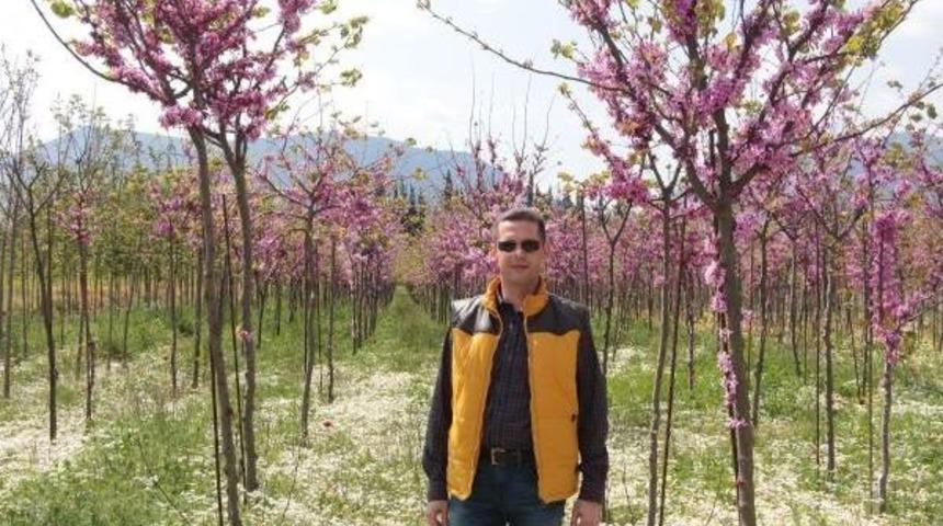 Hedef, Fidan Ithalatının &Ouml;n&uuml;ne Ge&ccedil;mek