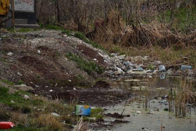 Hakkari'deki Çevre Kirliliğine Mobese Kameraları Ile Takip