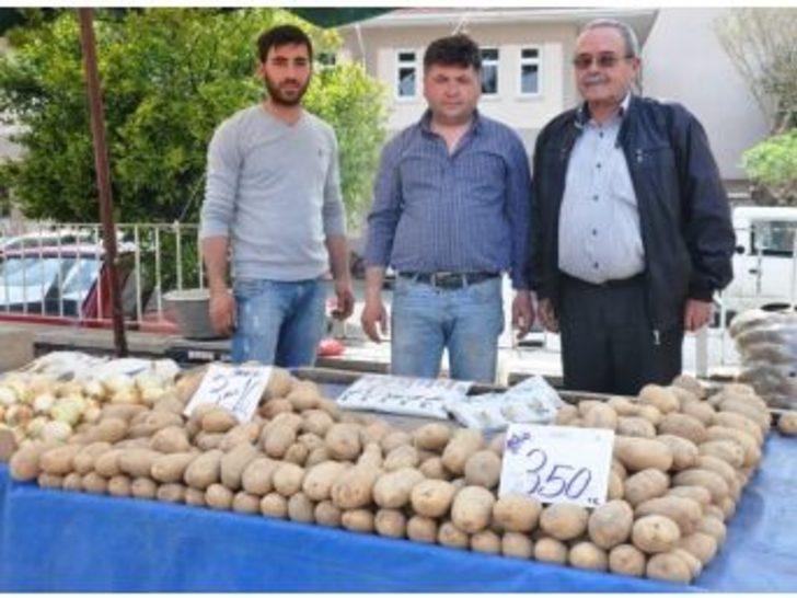 Patatesin Fiyatı Üreticiyi Zor Durumda Bıraktı