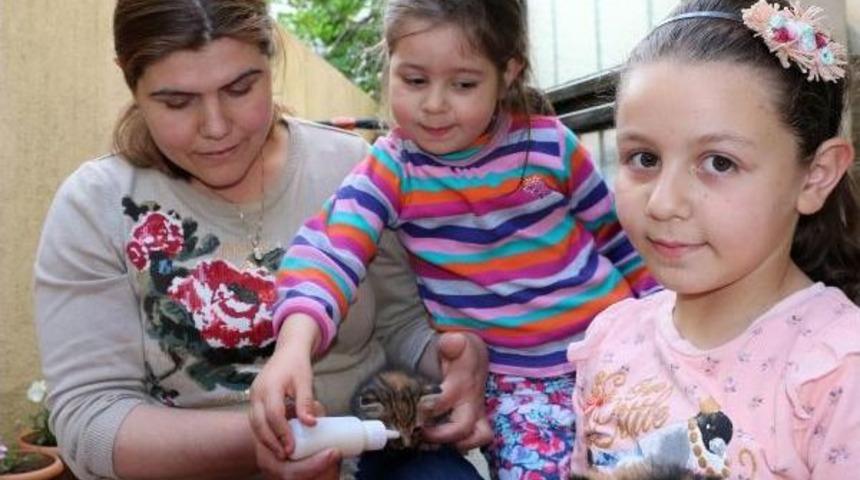 Hayvan Sevgisi, Kanser Tedavisi Gören Minik Defne'ye Iyi Geldi