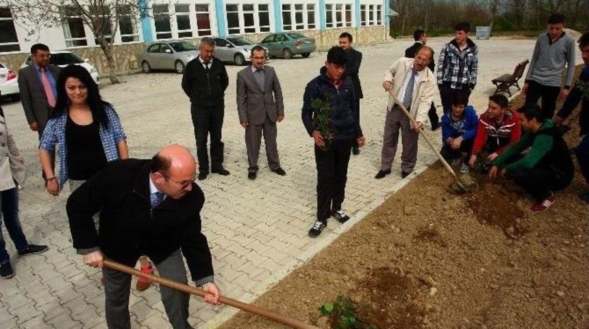 Hisarcık Anadolu İhl&rsquo;de G&uuml;lfidanı Dikim Etkinliği