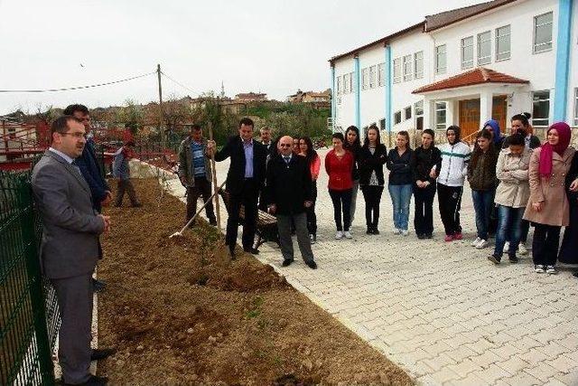 Hisarcık Anadolu İhl’de Gülfidanı Dikim Etkinliği