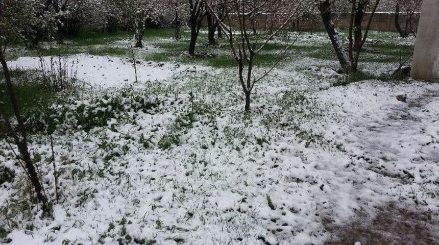 Kağızman&rsquo;da 23 Nisan Karı Bah&ccedil;eleri Vurdu