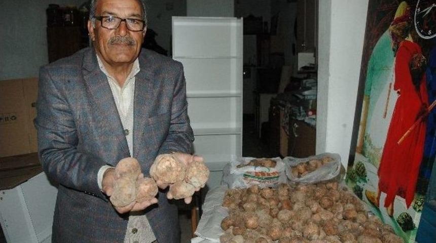 (&ouml;zel Haber) Topladığı Dolamanları Araplara Satıyor