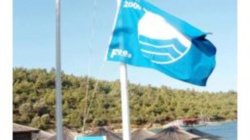Turkey Rich In &lsquo;Blue Flags&rsquo;