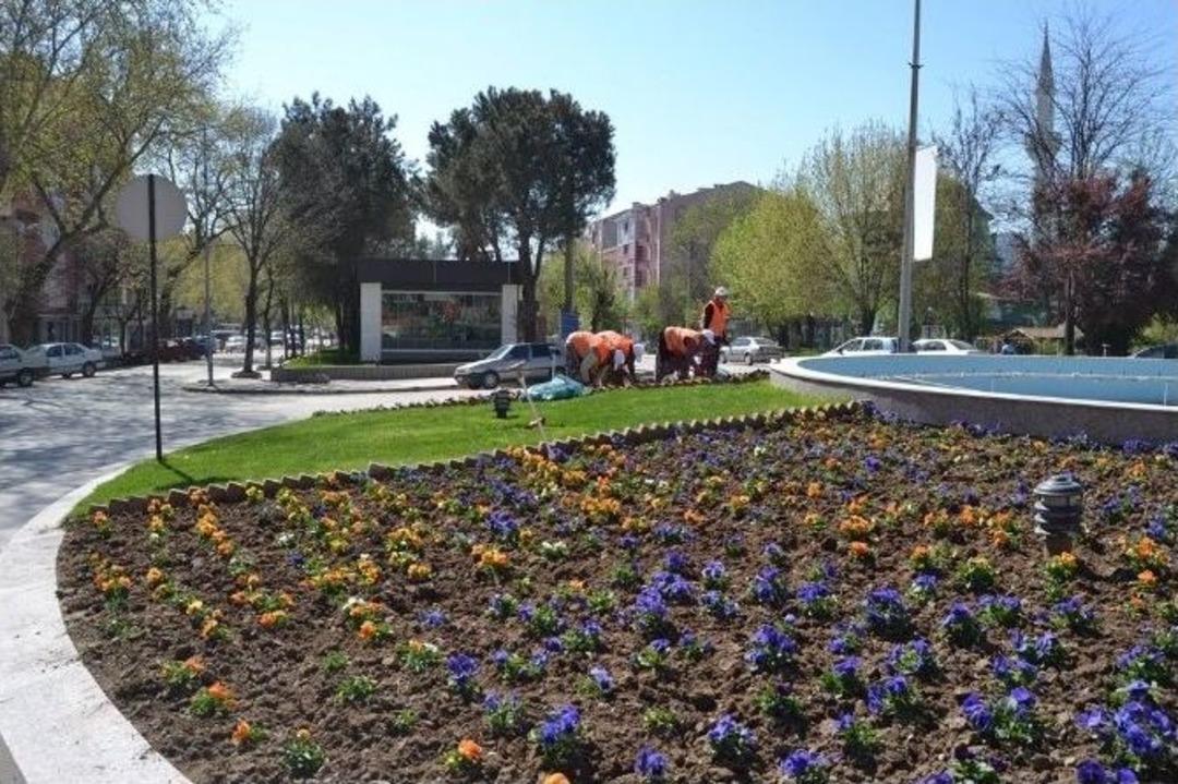 &Ccedil;an&rsquo;da Bahar Temizliği