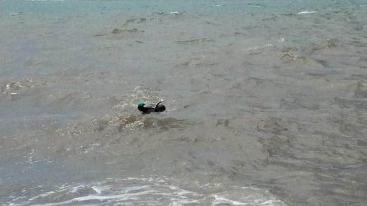 Barış Ve Kardeşlik İçin Van Gölünü Yüzdü G5