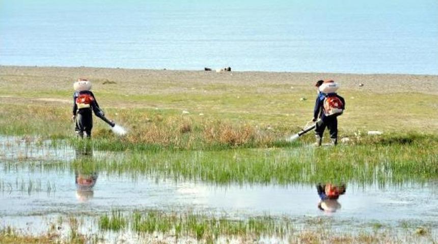 Tuşba Belediyesi Sivrisinekle M&uuml;cadele Başlattı