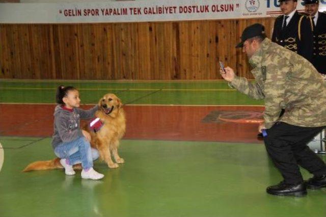 Eğitimli Köpeklere Bocuk Bayramında Gösteri Yaptırıldı