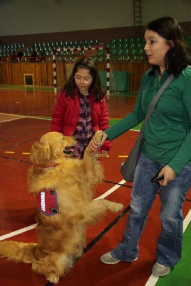 Eğitimli Köpeklere Bocuk Bayramında Gösteri Yaptırıldı