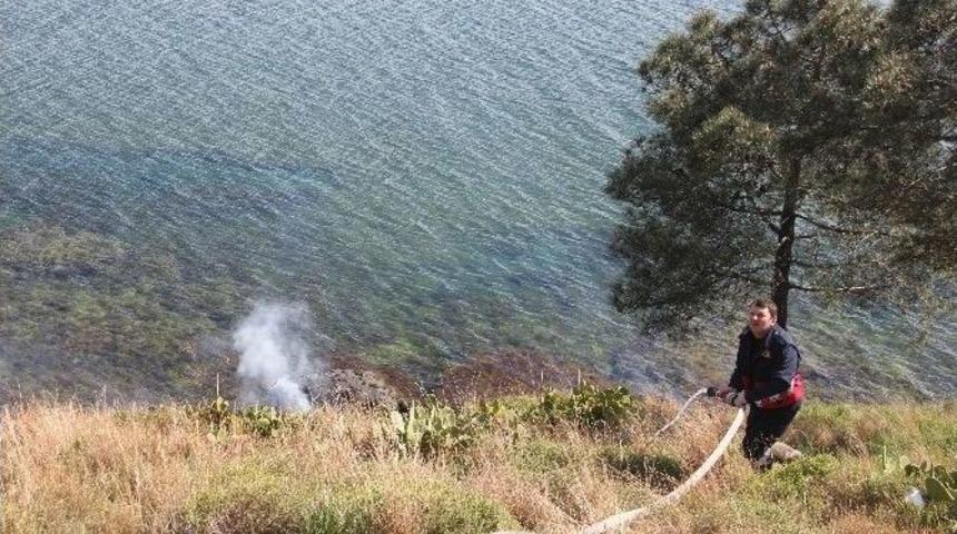 Deniz Kenarında Ot Yangını