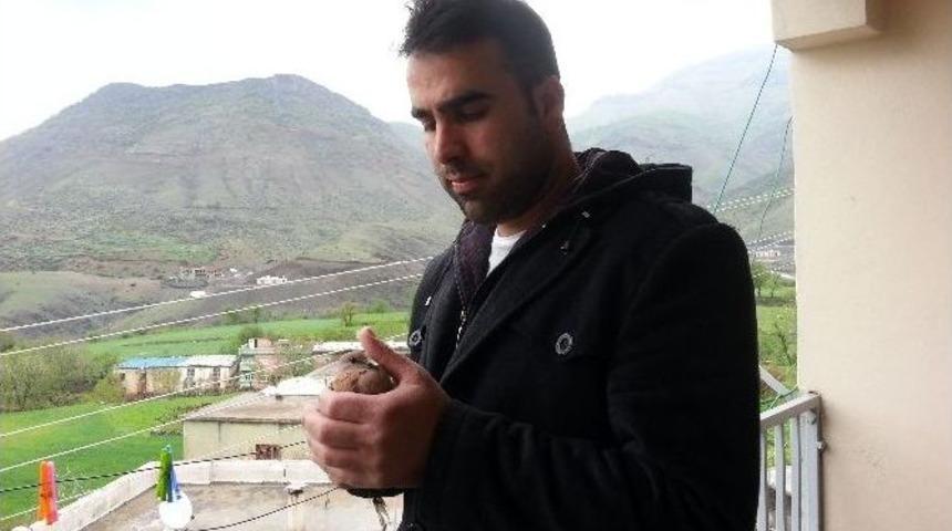 Yaralı Kumru İyileşip &Ouml;zg&uuml;rl&uuml;ğ&uuml;ne Kavuştu