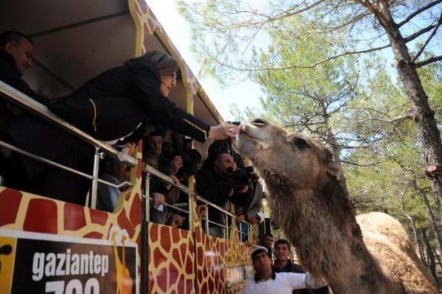 Türkiye’Nin Ilk Safari Parkı Açıldı