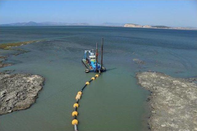 Artificial Island For Pelicans To Be Constructed, Says İzmir Mayor