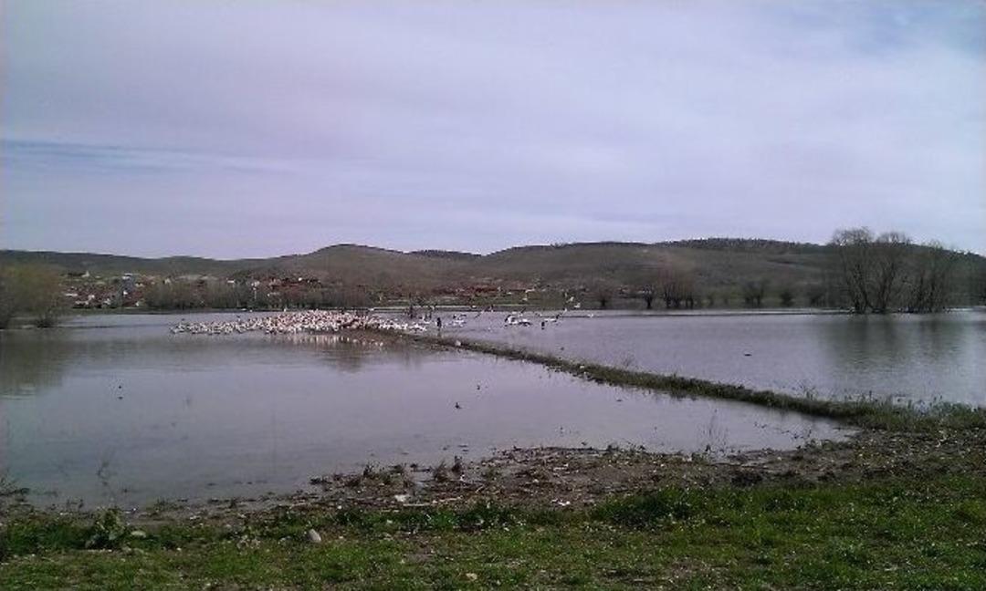 Burası Akin Kuş Cenneti