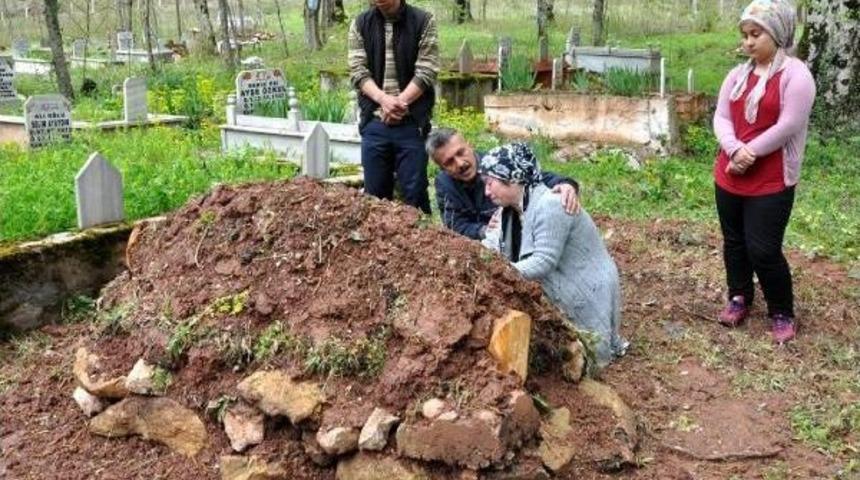 Arkadan &Ccedil;arpıp &Ouml;l&uuml;me Neden Olan S&uuml;r&uuml;c&uuml;n&uuml;n Serbest Kalmasına Tepki