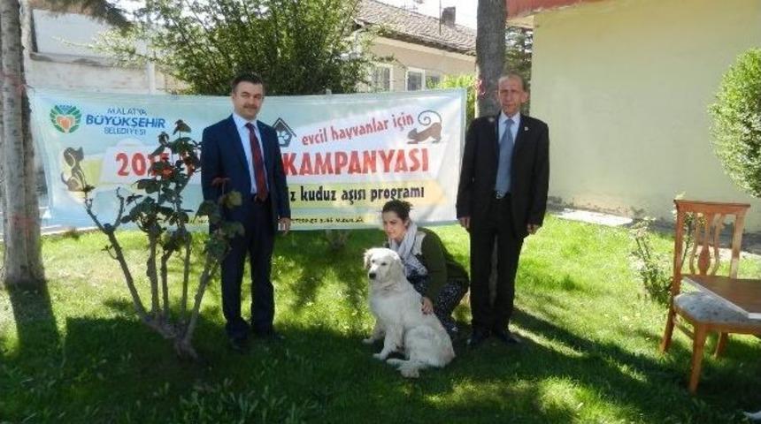 Evcil Hayvanlar İ&ccedil;in &Uuml;cretsiz Kuduz Aşısı Kampanyası Sona Erdi