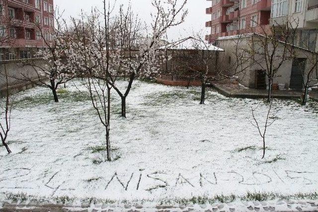 Muradiye&rsquo;de Kar Yağışı 1