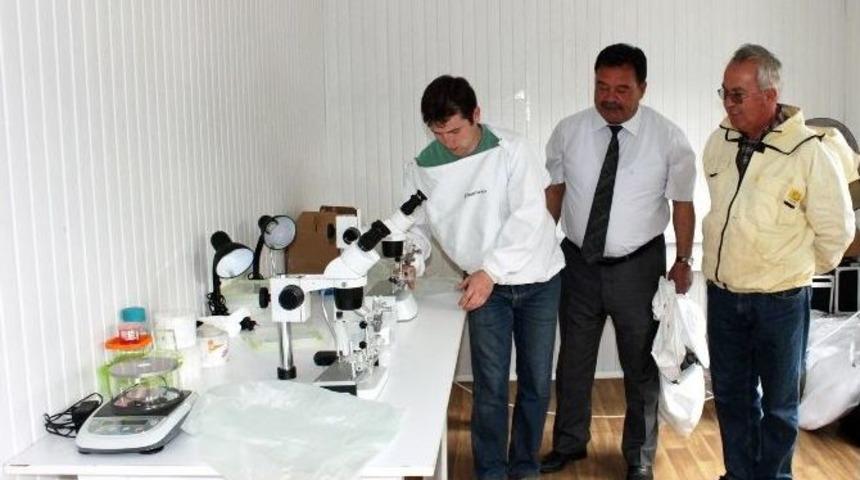 Ana Arı Ve Arı S&uuml;t&uuml; &Uuml;retimi Eğitimi