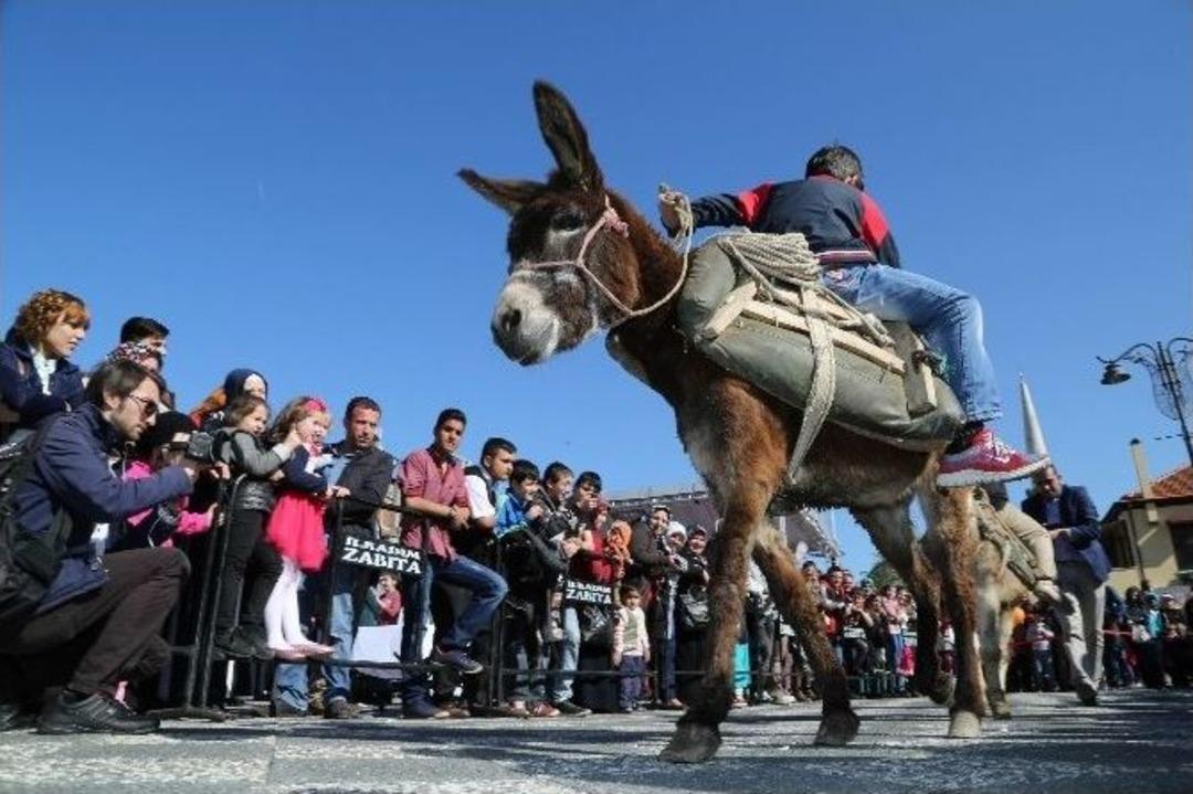 &Ccedil;ocuklar Eşeğe Ters Binerek Yarıştı