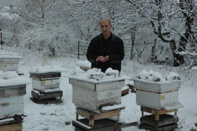 Doğu'da Nisan Ayında Iki Mevsim