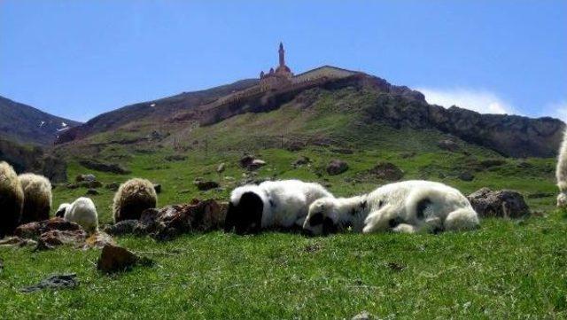 Doğu'da Nisan Ayında Iki Mevsim