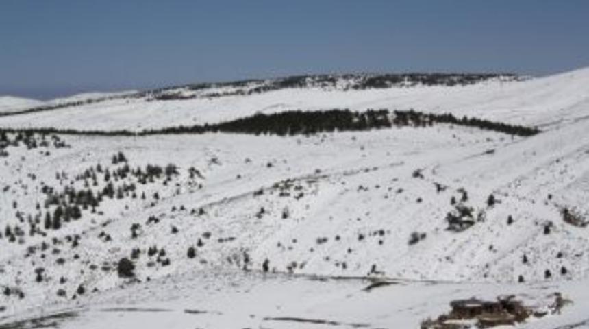 Aladağ Beyaza B&uuml;r&uuml;nd&uuml;