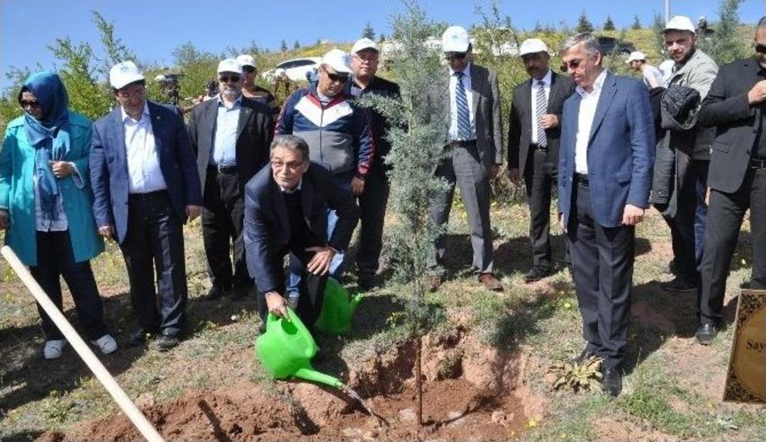 Aksaray&rsquo;a Necip Fazıl Kısak&uuml;rek Ormanı