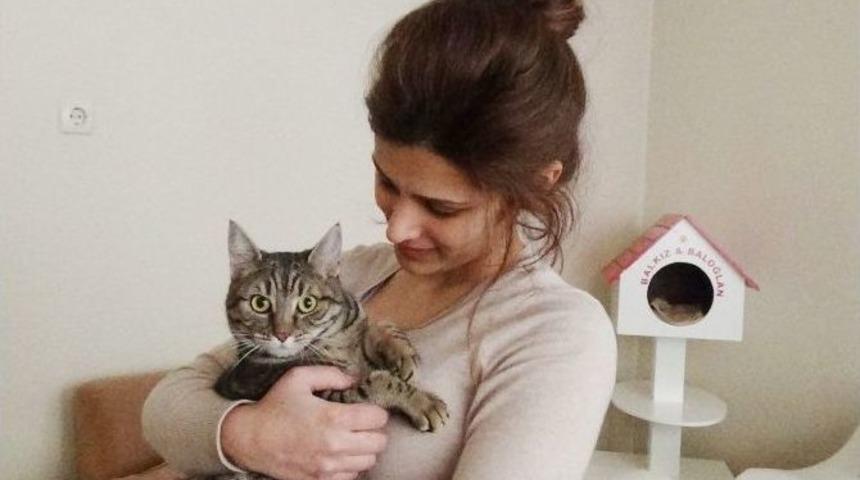 (&ouml;zel Haber) İki Bina Arasına Sıkışan Kedi İtfaiyeyi Alarma Ge&ccedil;irdi