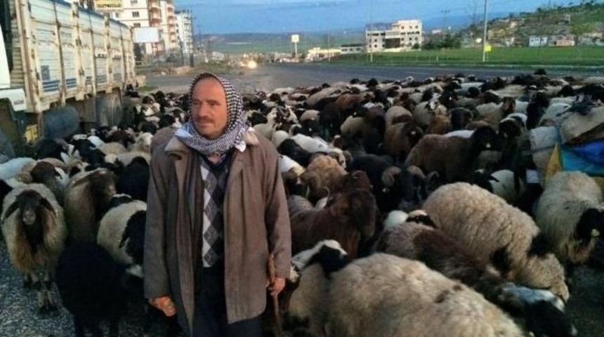 G&ouml;&ccedil;erlerin Yolculuğu Başladı