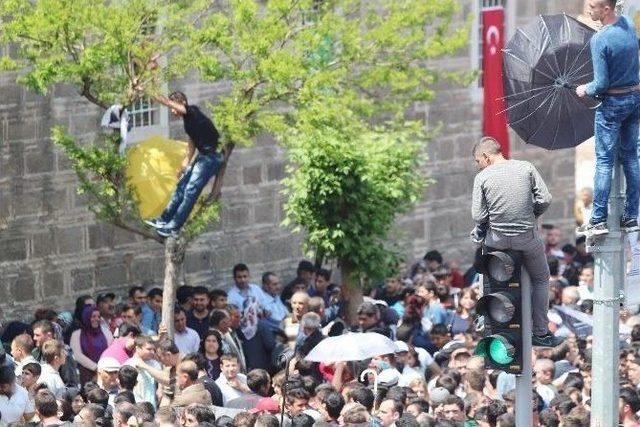 Mesir Macunu Alabilmek İçin Canını Hiçe Saydı